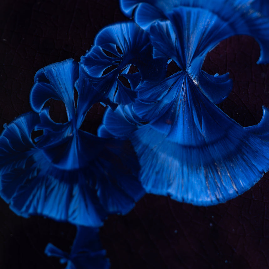 AJ Evansen - Large Blue Vase Ceramic Vessel Day in the Life Gallery