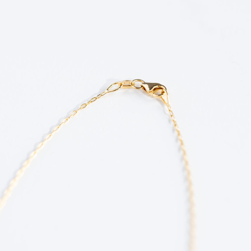 Alice Son - Lux Necklace Gold Necklace Day in the Life Gallery