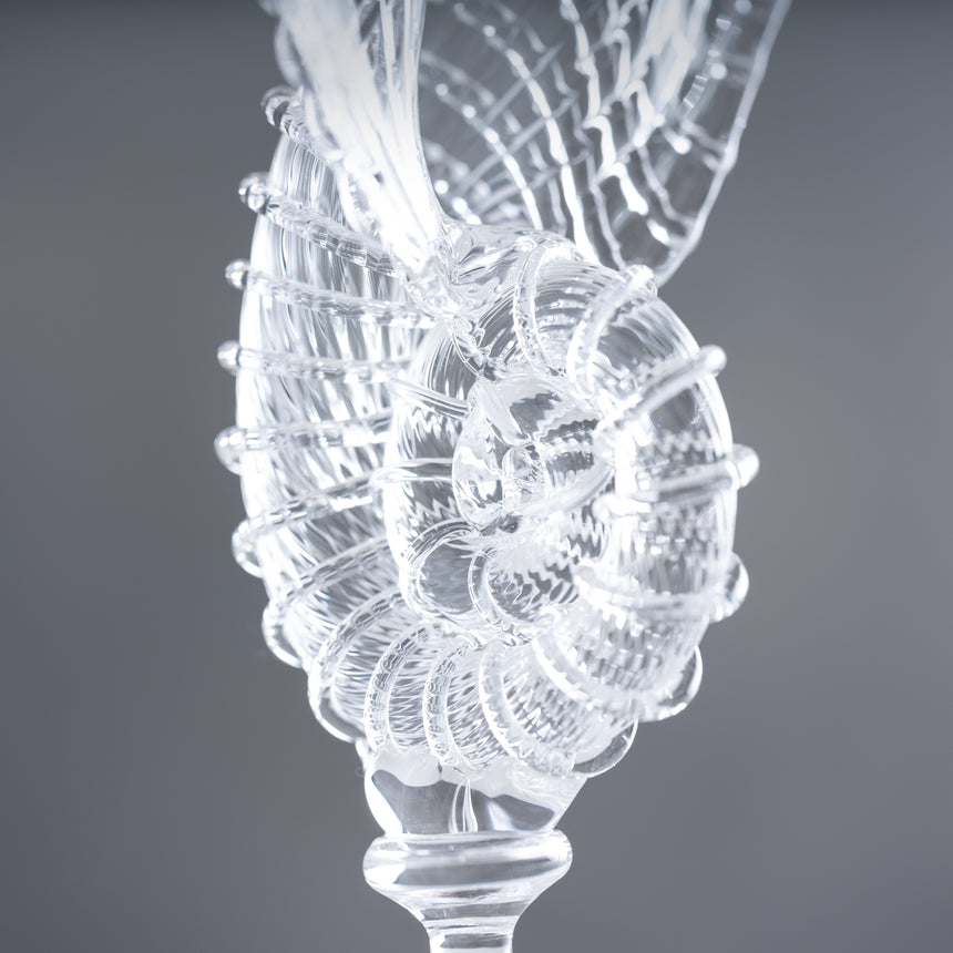 Andy Paiko - Glass Shell Sculpture Day in the Life Gallery