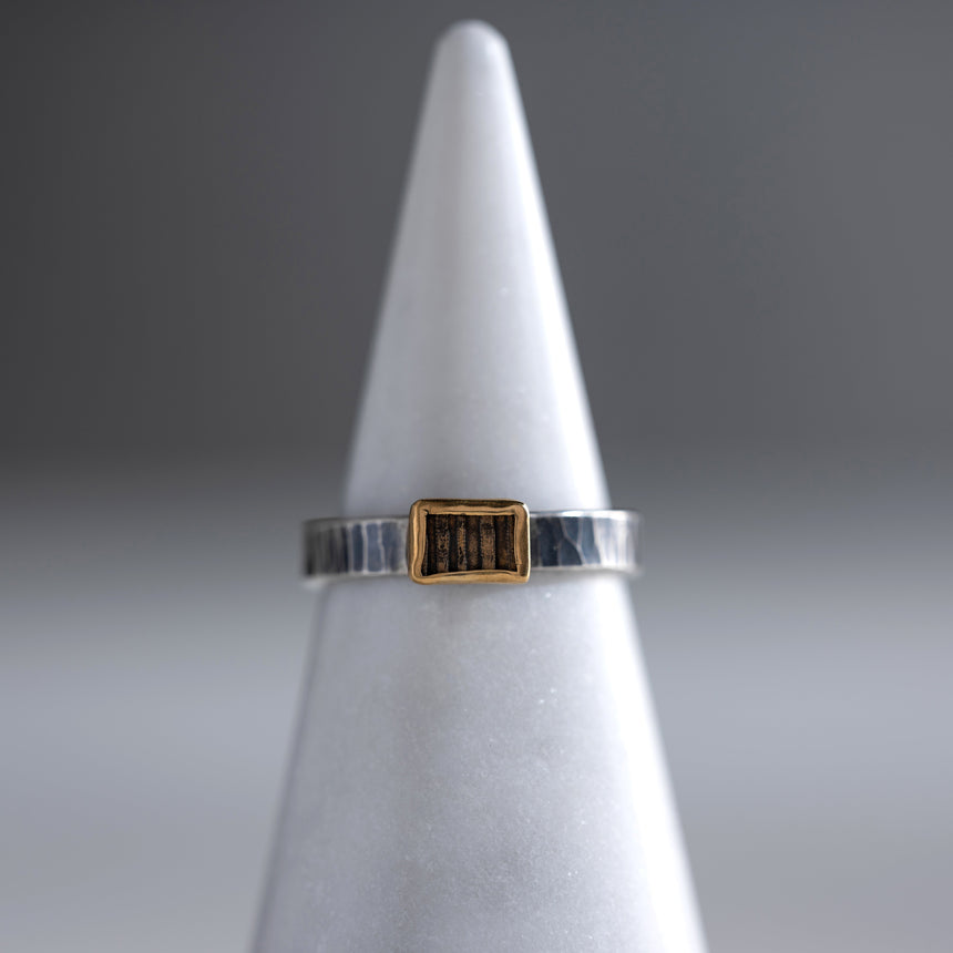 Ashley May - Gold, Brass, and Silver Hammered Ring Ring Day in the Life Gallery