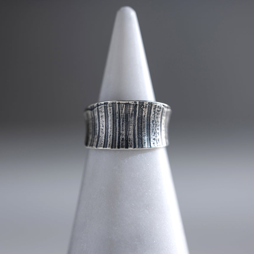 Ashley May - Silver Arc Ring Ring Day in the Life Gallery
