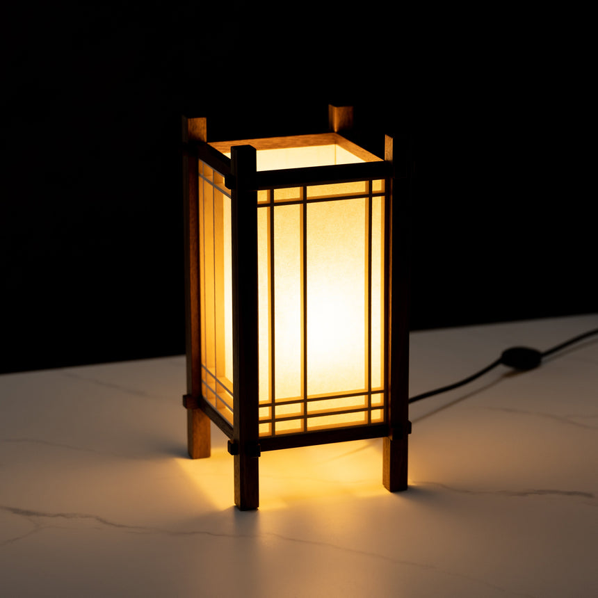 Ben Taylor - Asymmetrical Lamp Lamp Day in the Life Gallery