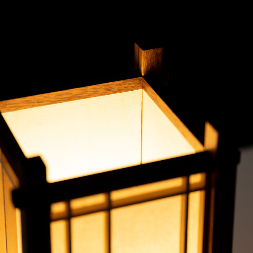 Ben Taylor - Asymmetrical Lamp Lamp Day in the Life Gallery