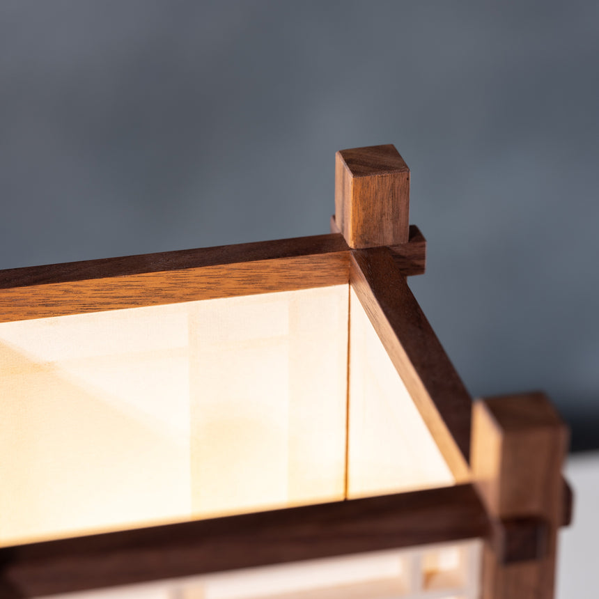 Ben Taylor - Asymmetrical Lamp Lamp Day in the Life Gallery