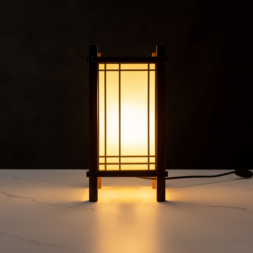 Ben Taylor - Asymmetrical Lamp Lamp Day in the Life Gallery
