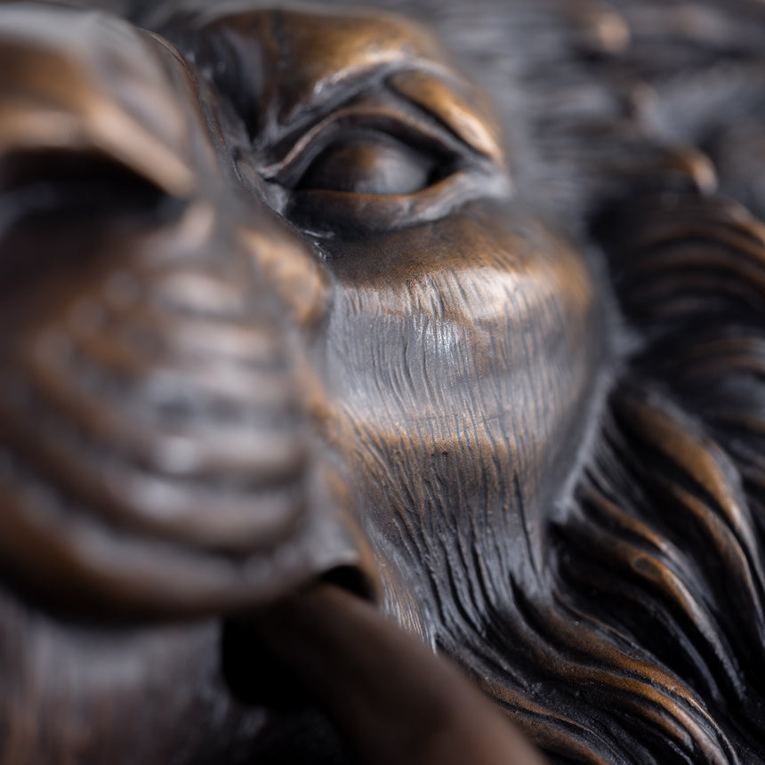 Karl Sanders - Bronze Lion Door Knocker (Large) Door Knocker Day in the Life Gallery