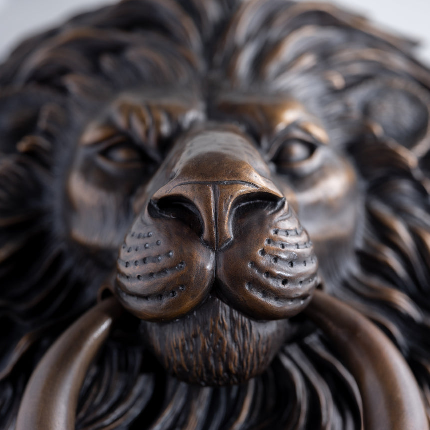 Karl Sanders - Bronze Lion Door Knocker (Large) Door Knocker Day in the Life Gallery