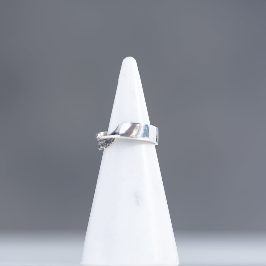 Marie-Hélène Rake - Mobius Ring Ring Day in the Life Gallery