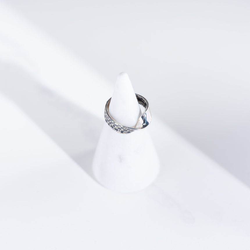 Marie-Hélène Rake - Mobius Ring Ring Day in the Life Gallery