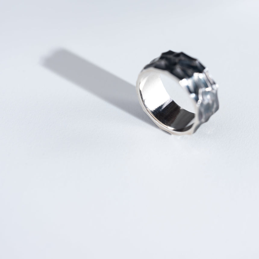 Marie-Hélène Rake - Parched Earth Ring Ring Day in the Life Gallery