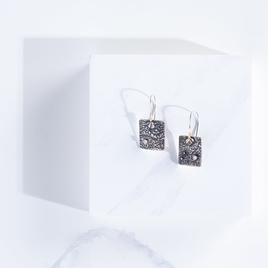 Marie-Hélène Rake - Shibuishi Diamond Earrings Silver Cuff Day in the Life Gallery