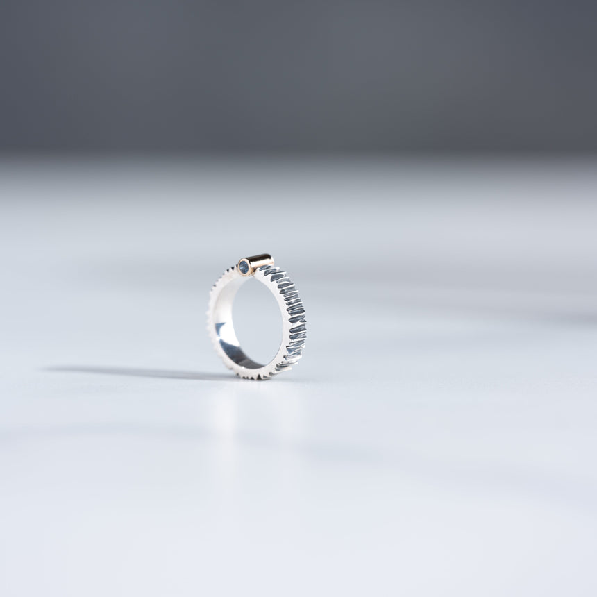 Marie-Hélène Rake - Silver, Gold, and Sapphire Ring Ring Day in the Life Gallery