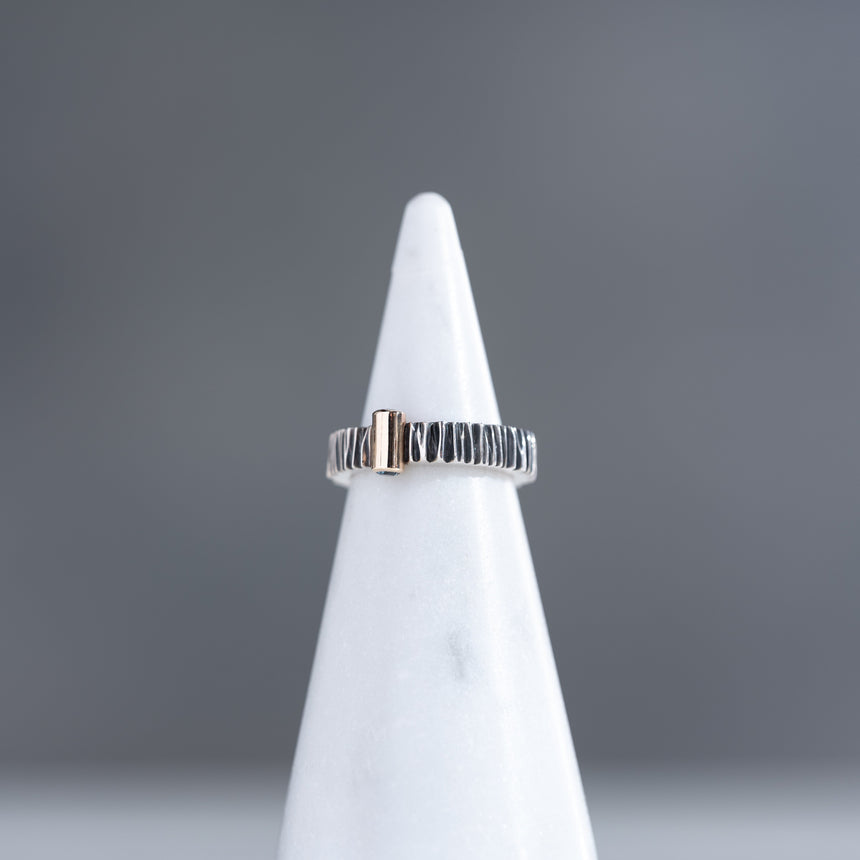 Marie-Hélène Rake - Silver, Gold, and Sapphire Ring Ring Day in the Life Gallery