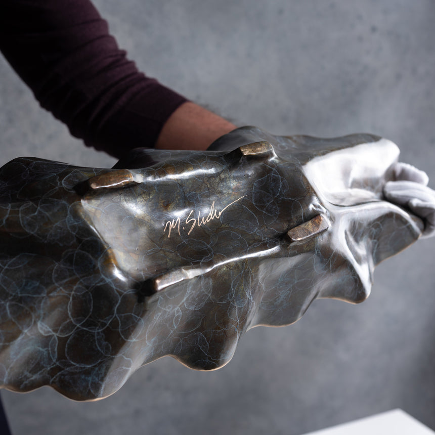 Mike Sluder - "Deep & Beyond" Bronze Vessel Day in the Life Gallery