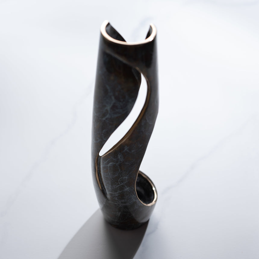 Mike Sluder - "Shift" Bronze Vessel Day in the Life Gallery