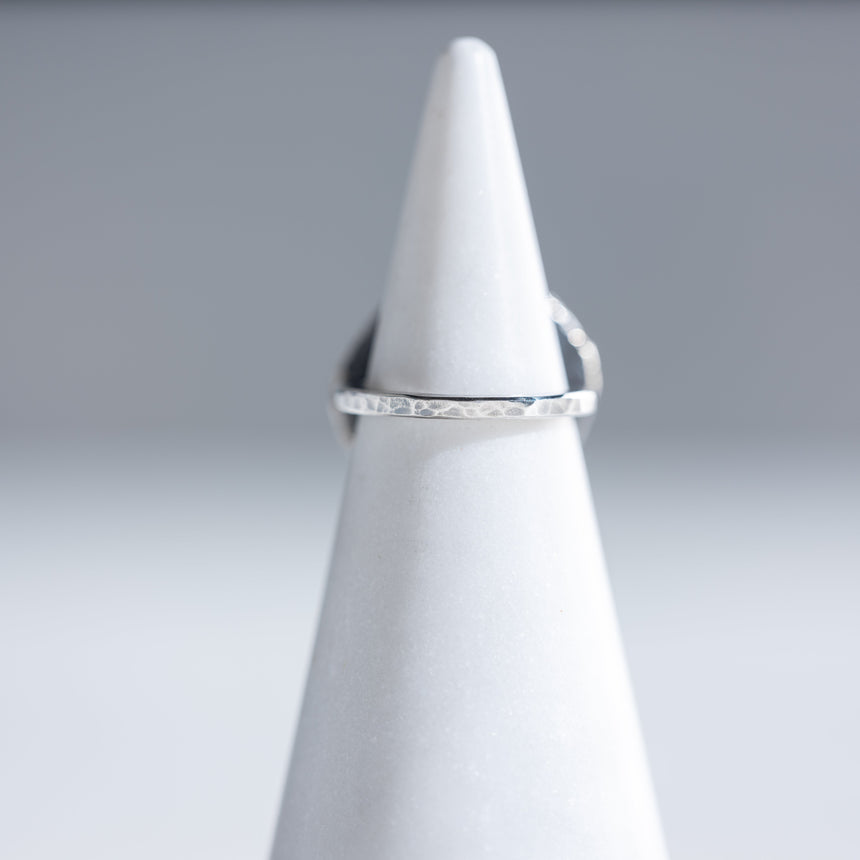 Olithica - Silver Phaethon Ring Silver Ring Day in the Life Gallery