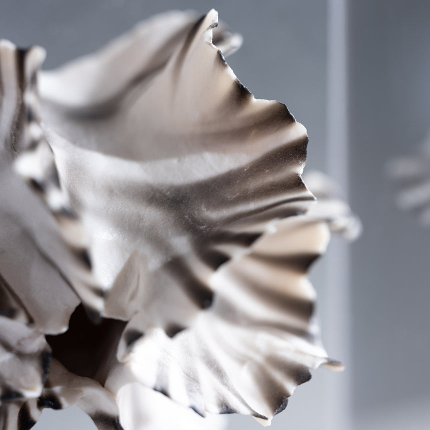 Sally Squire - Triple Scute (Fumed) Sculpture Day in the Life Gallery and Design Studio