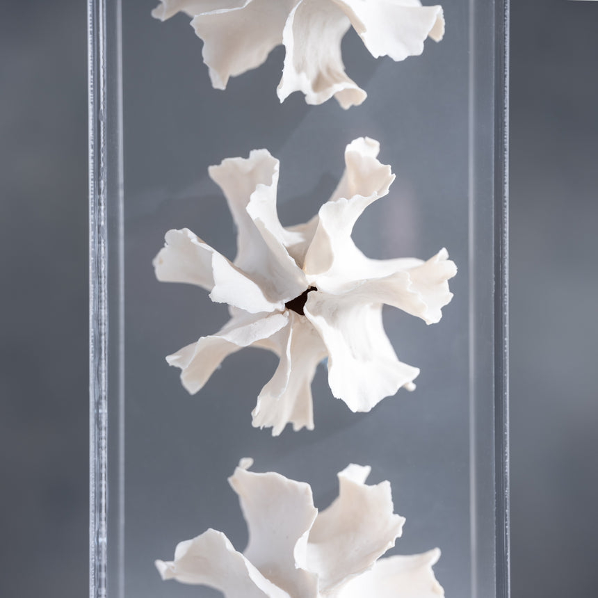 Sally Squire - Triple Scute (White) Sculpture Day in the Life Gallery and Design Studio