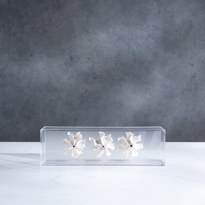 Sally Squire - Triple Scute (White) Sculpture Day in the Life Gallery and Design Studio
