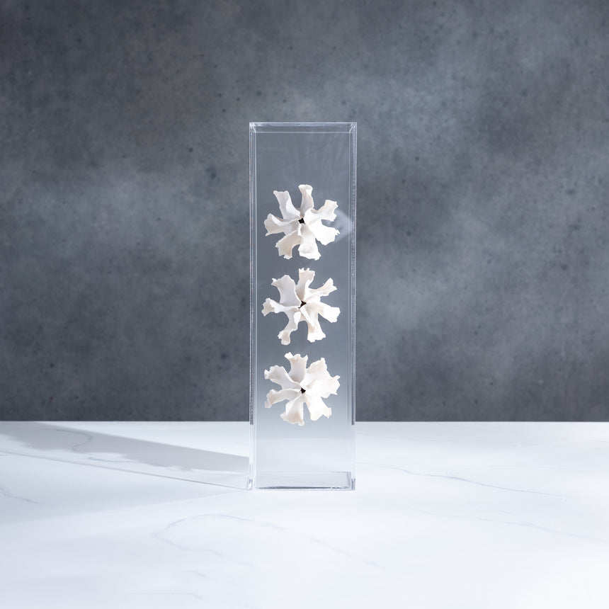 Sally Squire - Triple Scute (White) Sculpture Day in the Life Gallery and Design Studio