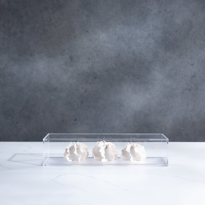 Sally Squire - Triple Scute (White) Sculpture Day in the Life Gallery and Design Studio