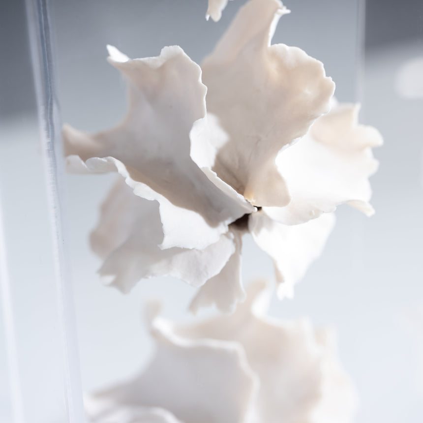 Sally Squire - Triple Scute (White) Sculpture Day in the Life Gallery and Design Studio