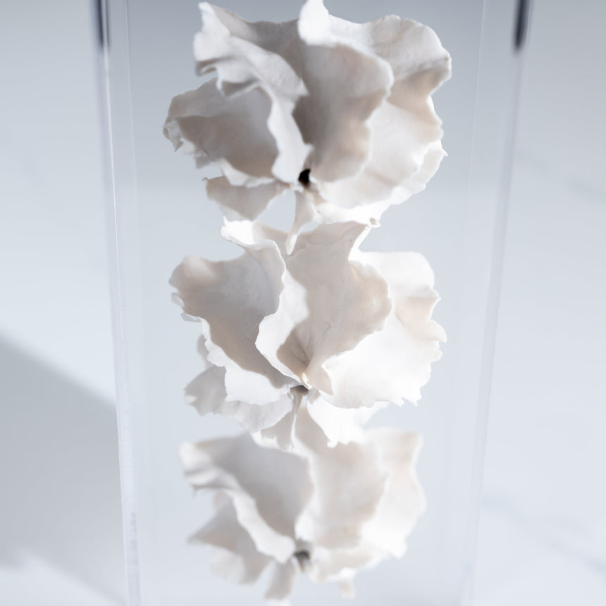 Sally Squire - Triple Scute (White) Sculpture Day in the Life Gallery and Design Studio