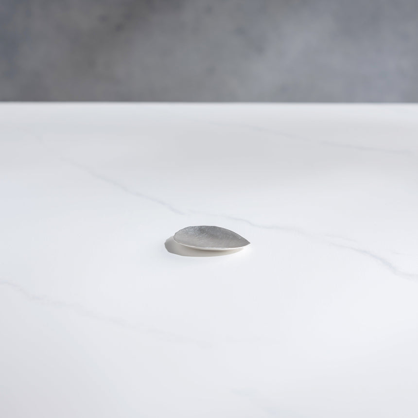 Sara Thompson - Golden Spiral Shallow Nesting Set Silver Bowl Day in the Life Gallery