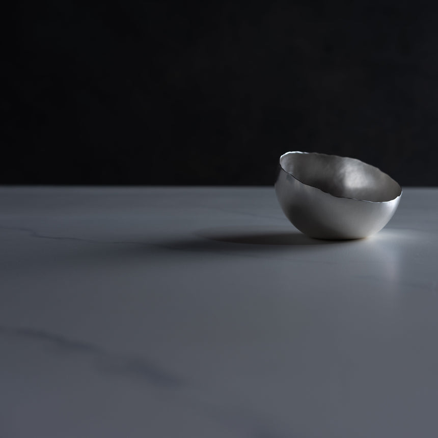 Sara Thompson - Silver Cell Vessel Silver Bowl Day in the Life Gallery