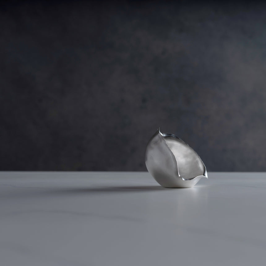 Sara Thompson - Silver "Torn" Vessel #1 Silver Bowl Day in the Life Gallery