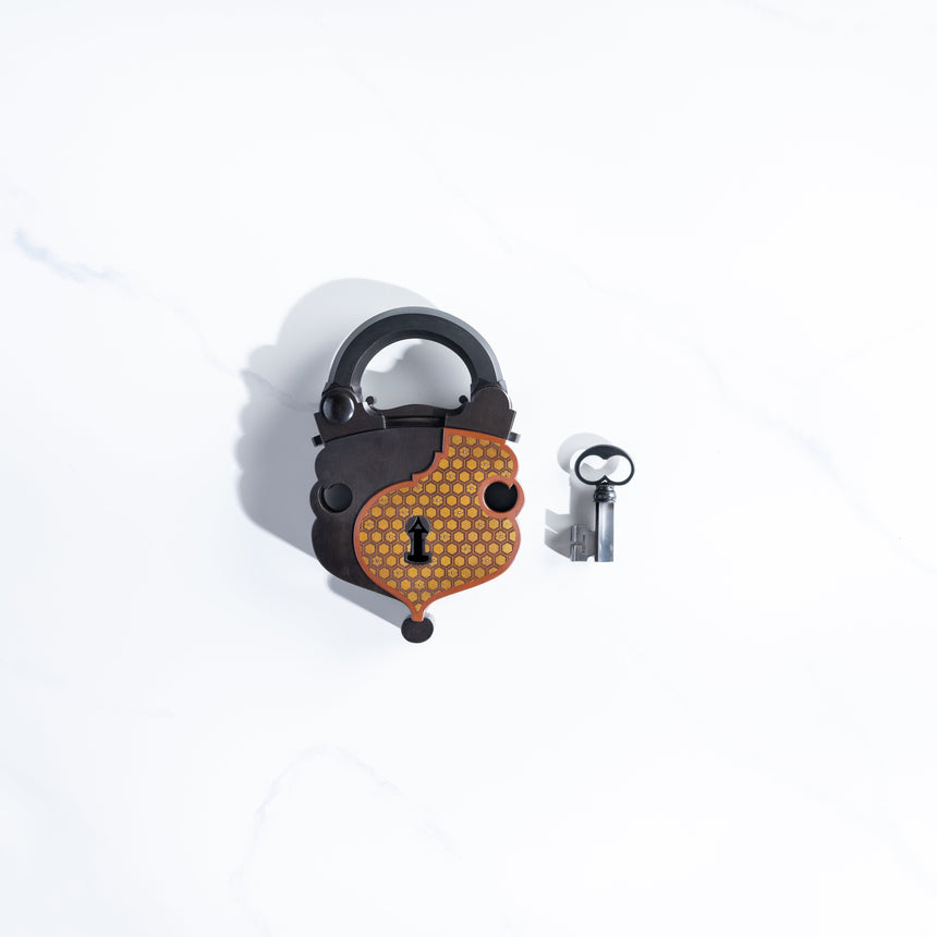 Seth Gould - Padlock Padlock Day in the Life Gallery