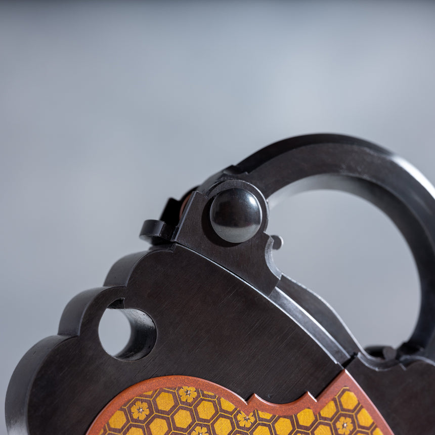 Seth Gould - Padlock Padlock Day in the Life Gallery