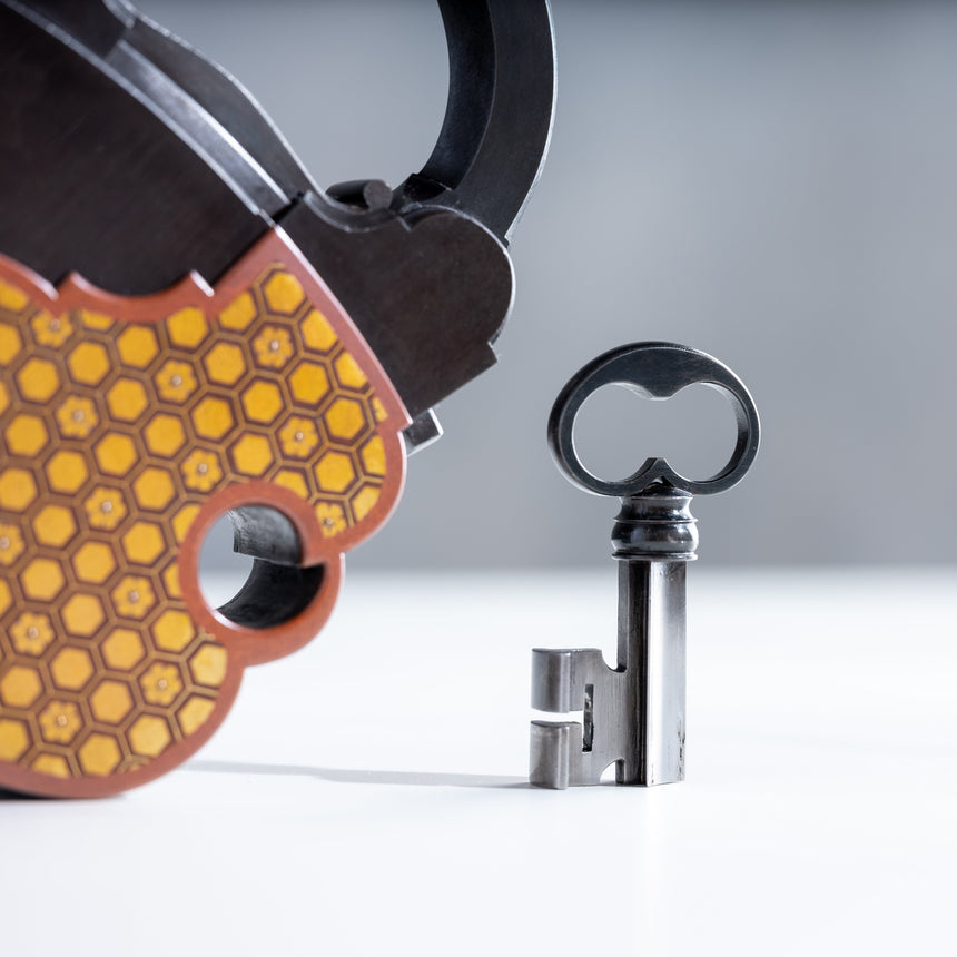 Seth Gould - Padlock Padlock Day in the Life Gallery