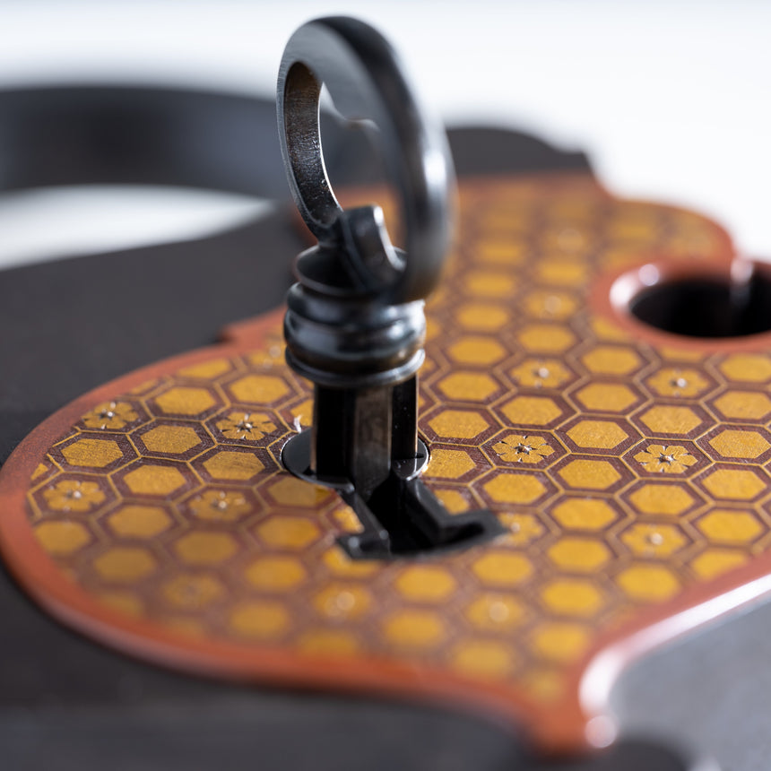 Seth Gould - Padlock Padlock Day in the Life Gallery