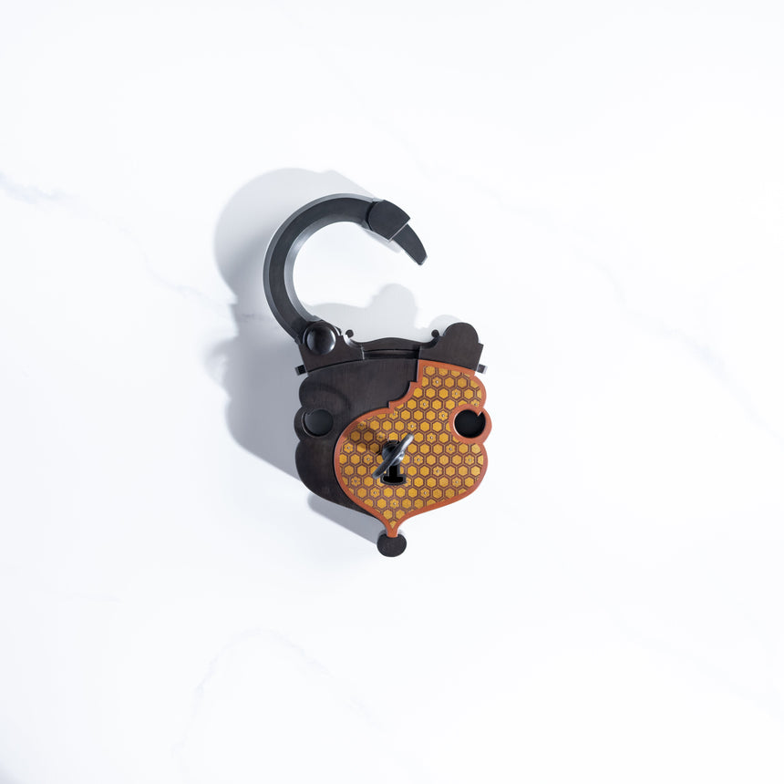 Seth Gould - Padlock Padlock Day in the Life Gallery