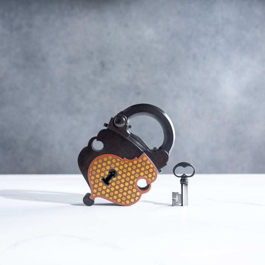 Seth Gould - Padlock Padlock Day in the Life Gallery