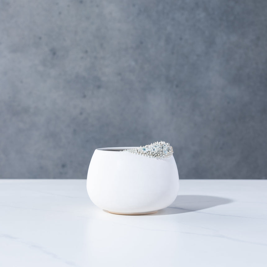 Shelly Fredenberg - Tide Vessel 1 Bowl Day in the Life Gallery and Design Studio