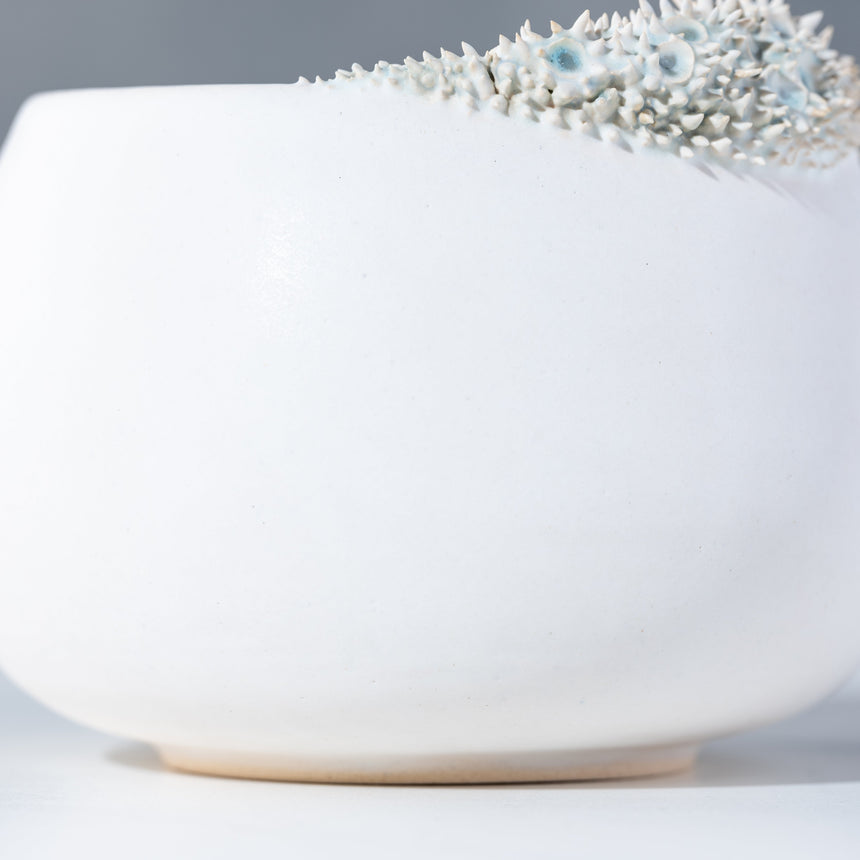 Shelly Fredenberg - Tide Vessel 1 Bowl Day in the Life Gallery and Design Studio