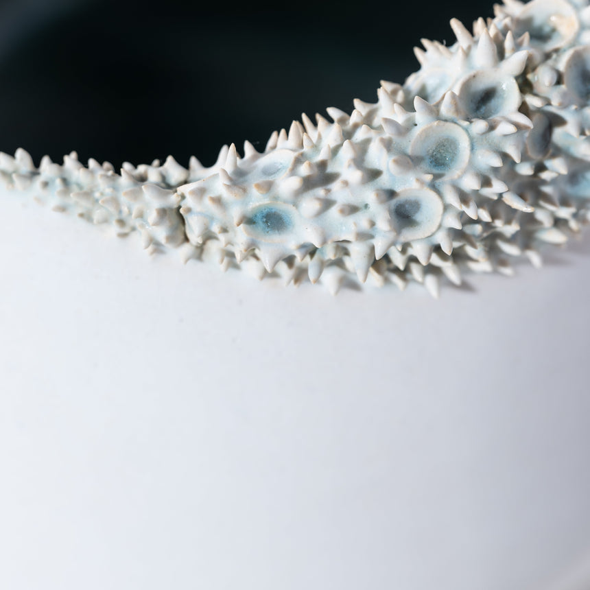 Shelly Fredenberg - Tide Vessel 1 Bowl Day in the Life Gallery and Design Studio
