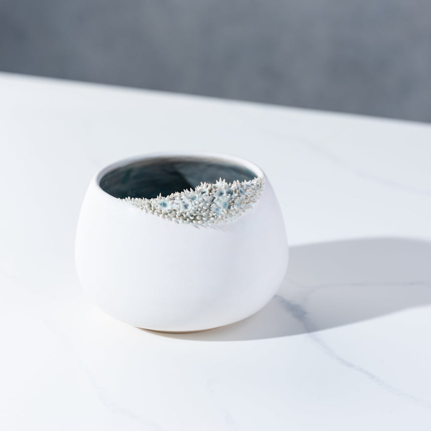 Shelly Fredenberg - Tide Vessel 1 Bowl Day in the Life Gallery and Design Studio