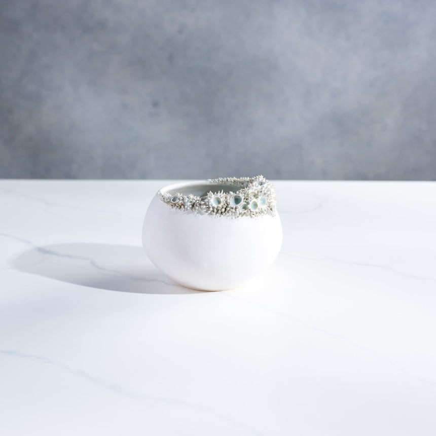 Shelly Fredenberg - Tide Vessel Bowl Day in the Life Gallery and Design Studio