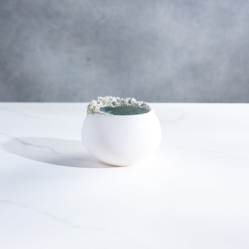 Shelly Fredenberg - Tide Vessel Bowl Day in the Life Gallery and Design Studio