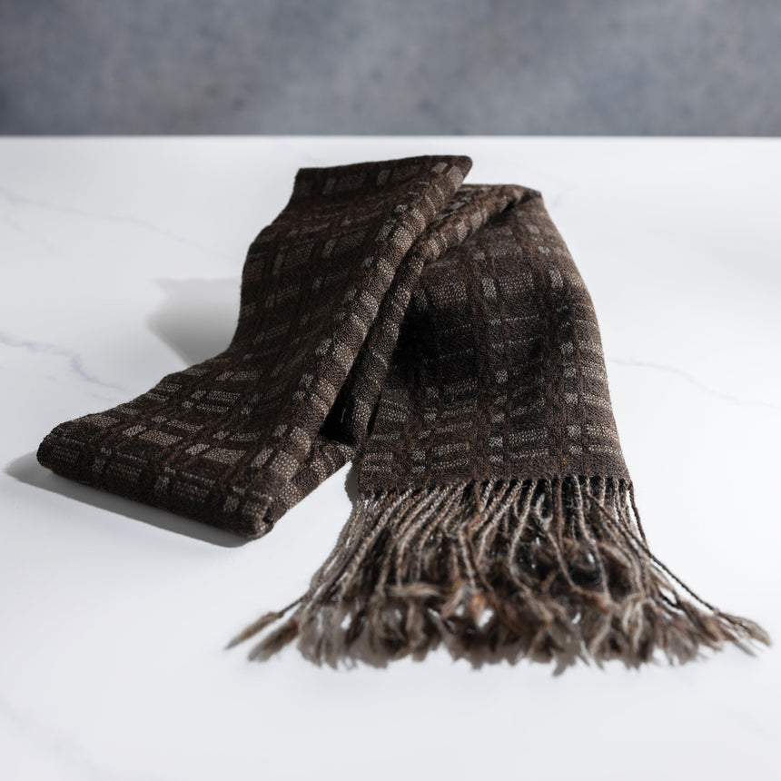 Tom Poirier - Handwoven Alpaca/Wool Scarf #3 Scarf Day in the Life Gallery