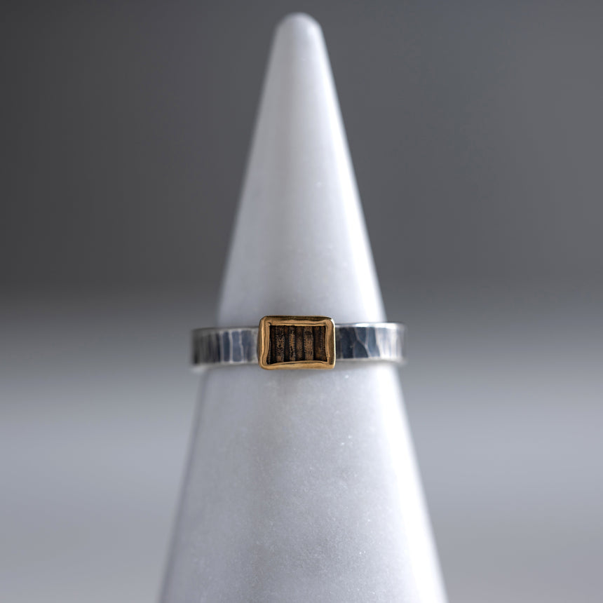 Ashley May - Gold, Brass, and Silver Hammered Ring Ring Day in the Life Gallery 
