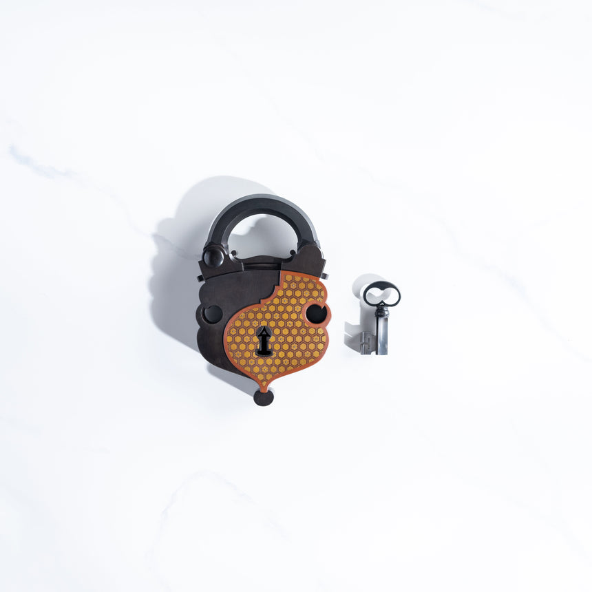 Seth Gould - Padlock Padlock Day in the Life Gallery 