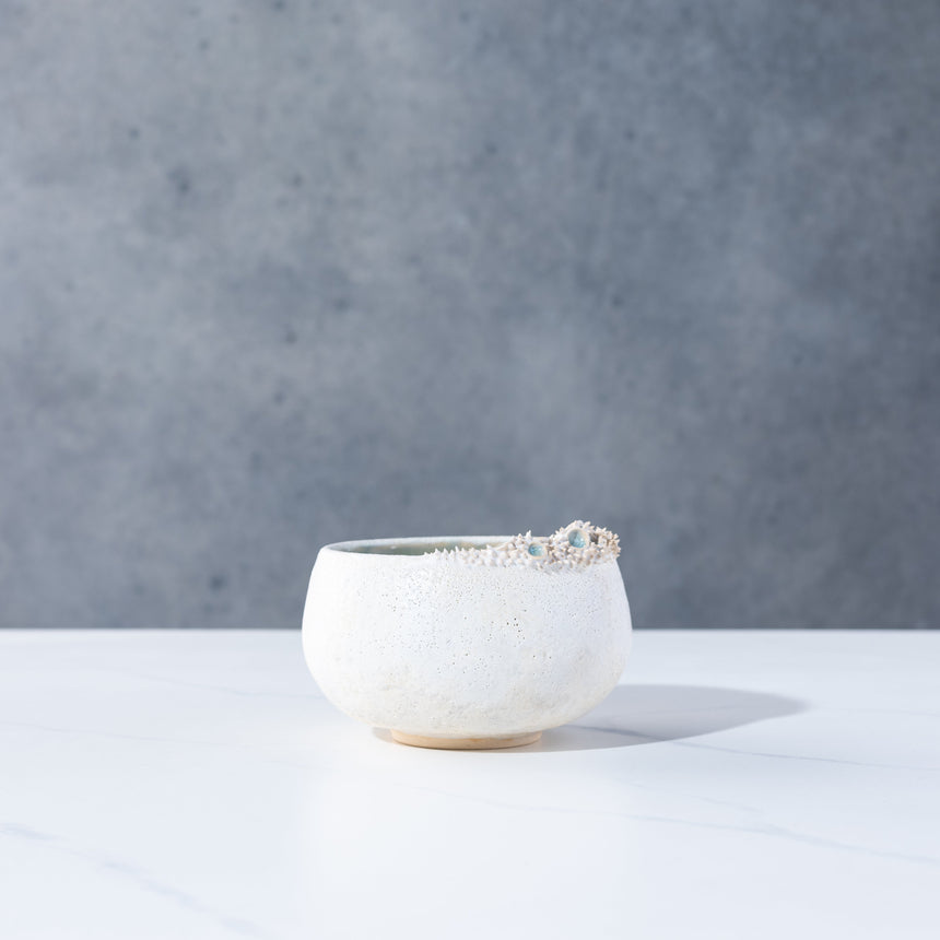 Shelly Fredenberg - Tide Vessel 2 Bowl Day in the Life Gallery and Design Studio 