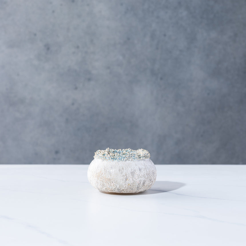 Shelly Fredenberg - Tide Vessel 3 Bowl Day in the Life Gallery and Design Studio 